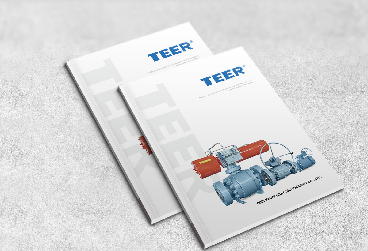 特爾閥門高科技有限公司